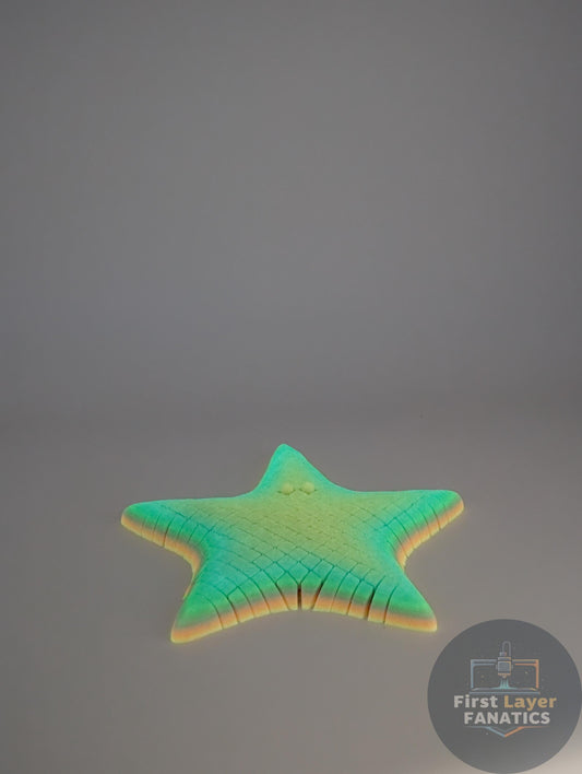 Starfish Fidget Toy – Articulated Sea Star Sculptures 6.5" to 9" Glow/Surprise Colors Available